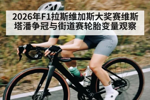 2026年F1拉斯维加斯大奖赛维斯塔潘争冠与街道赛轮胎变量观察 - 3377 SPORTS